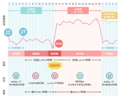 妊娠危険日計算|安全日と危険日の計算